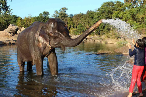 De Délhi: Excursão ao Taj Mahal ao nascer do sol com conservação de elefantesTour guiado apenas com motorista e guia