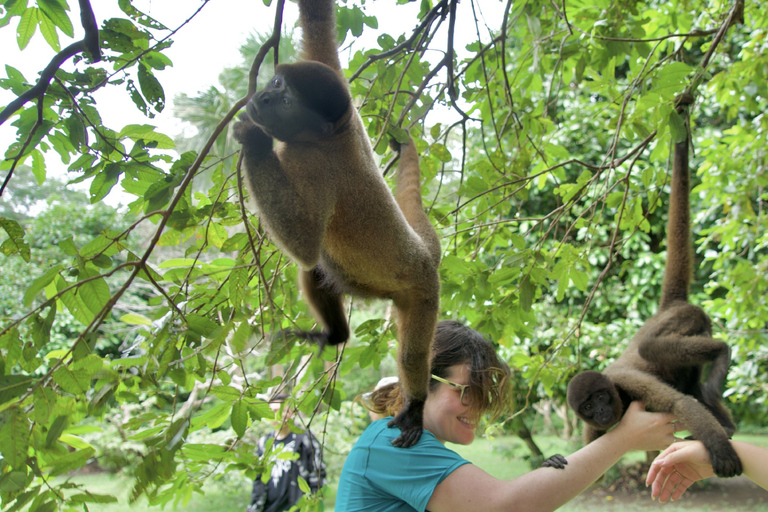 Puerto Maldonado : Excursion en kayak | 4D3NDepuis Puerto Maldonado : Excursion en kayak | 4D3N