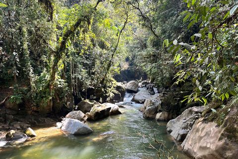 Medellín: Guatapé Day Tour and Hike to Beautiful Crystal-Clear Waterfalls
