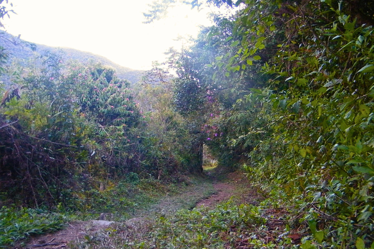 تشورو تريك مغامرة مثيرةتشورو تريك، مغامرة مثيرة