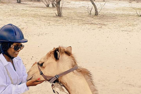 Maun, Botsuana: Safari Camel AdventureMaun, Botsuana: Aventura en safari en camello