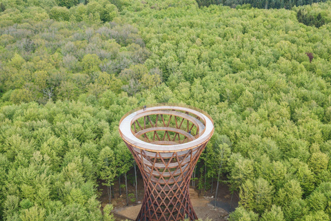 Stevns Klint, local classificado pela UNESCO, e excursão à Torre da Floresta a partir de Copenhaga