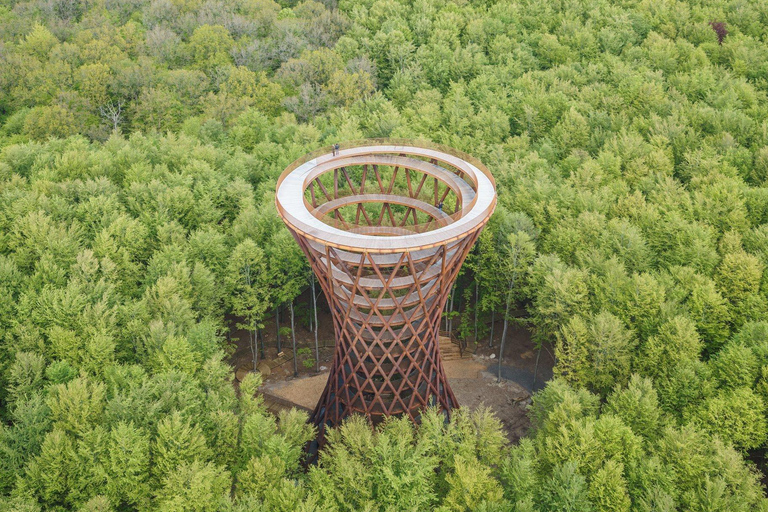 Tour del sito UNESCO di Stevns Klint e della torre della foresta da Copenaghen