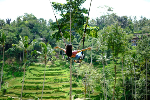 Ubud-avontuur: apenbos, rijstterrassen en watervallen