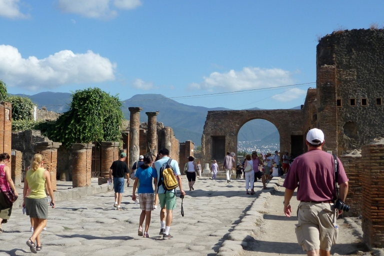 Pompéi: visite privée de 4 heures au départ de Naples