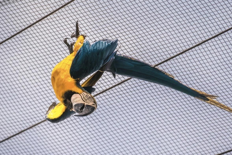 Colombo City Tour with Dehiwala Zoo & Cultural Highlights