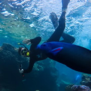Jurien Bay Snorkel Tour