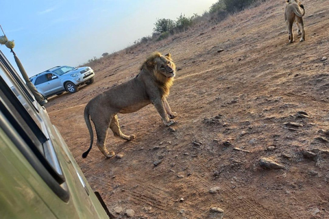 Nairobi: Półdniowa przejażdżka w Parku Narodowym Nairobi