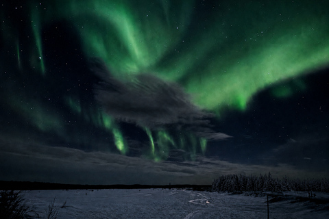 Northern Lights Hunt – Small Mixed Group from Kemi