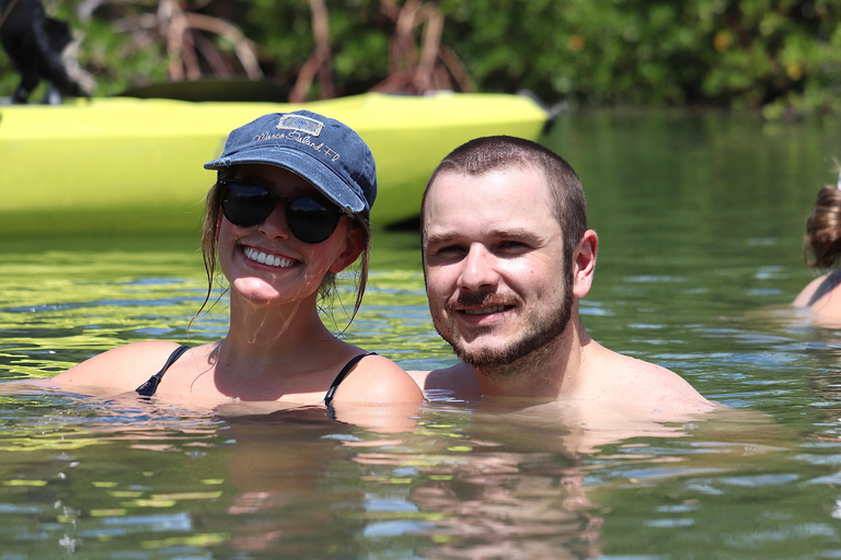 From Naples, FL: Marco Island Mangroves Kayak or Paddle Tour Easy Ride Pedal Kayak Tour