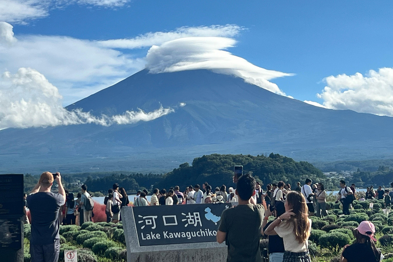 From Tokyo: Mount Fuji Full Day Customizable Private Tour