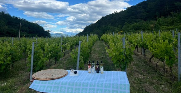 Omiš: Mimica-Weinerlebnis mit Abendessen und Verkostungen