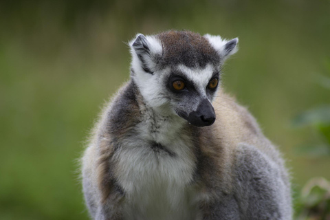 Seattle: Woodland Park Zoo Wildlife Guided Tour