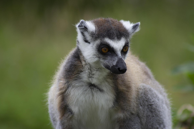 Seattle: Woodland Park Zoo Wildlife Guided Tour
