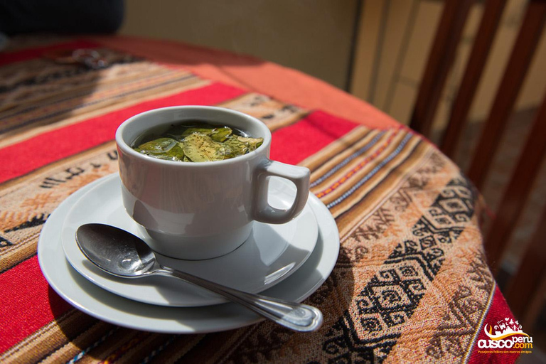 Coca Leaf Reading: Ancestral Ceremony -La Luz Retreat Temple