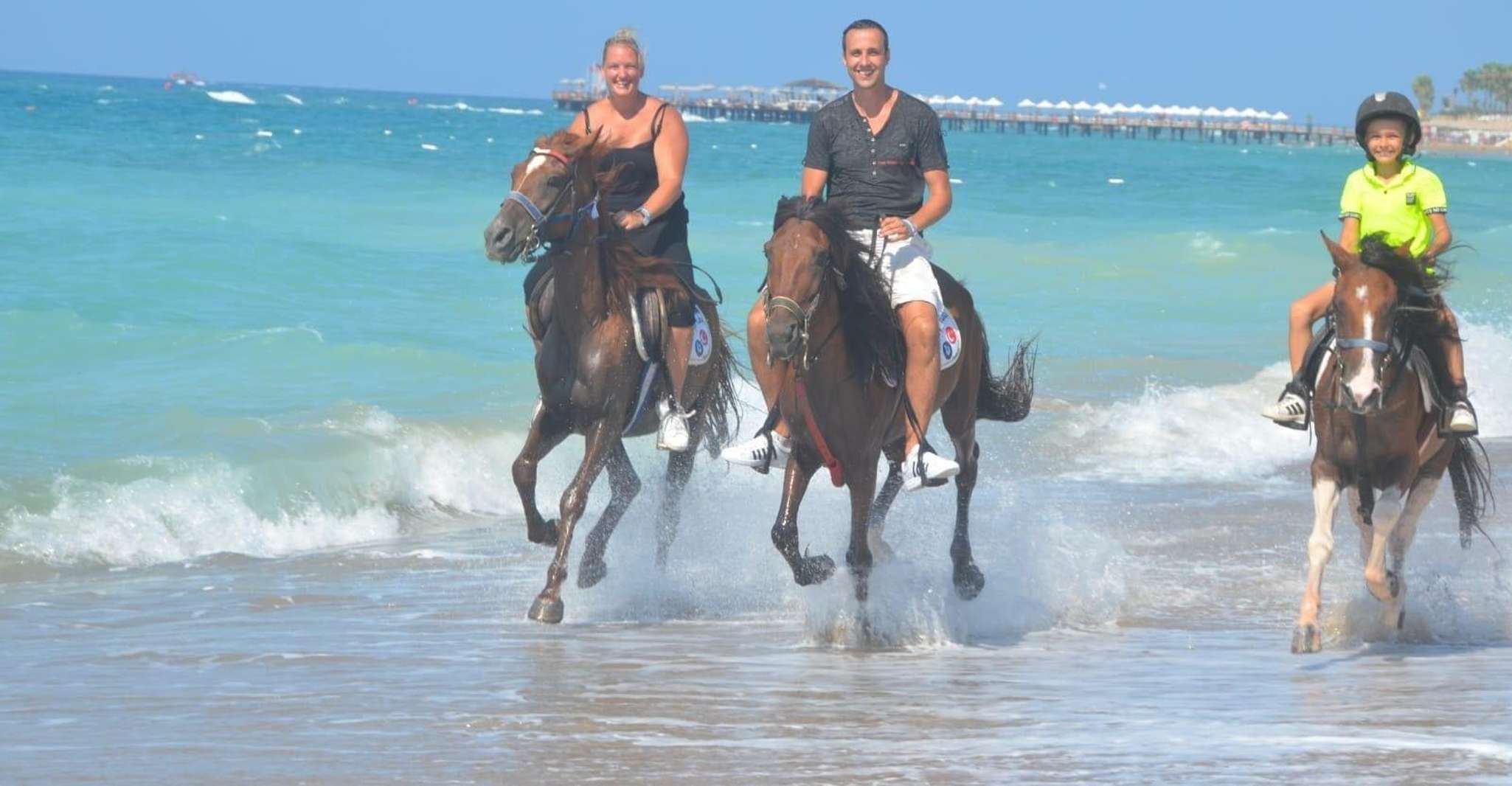 Manavgat / ville de côté, éteinte à cheval près de la plage ou de la forêt - Housity