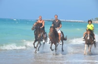 Manavgat/City of Side, Horse Riding by the Beach or Forest - Housity