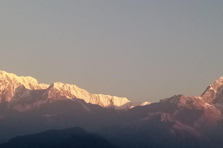 From Kathmandu: 8-Day Honeymoon Tour with Chitwan & Pokhara