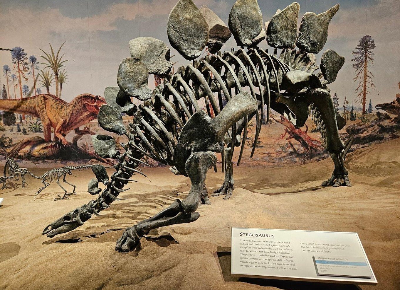 Badlands-tur: Drumheller med museum, hoodoos og dinosaurer