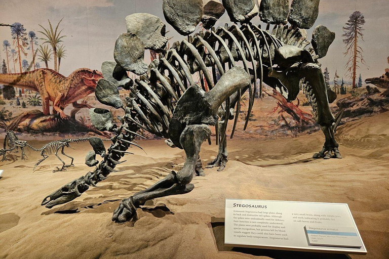 Badlands Tour: Drumheller with Museum, Hoodoos & Dinosaurs Booking Option for Summer 2026