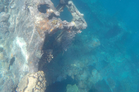 Coron: Private Speedboat to Pass Island, Reef & Ship Wrecks