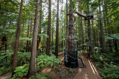 Rotorua: Redwoods Altitude High Ropes AdventureRotorua: aventura em cordas altas de altitude em Redwoods