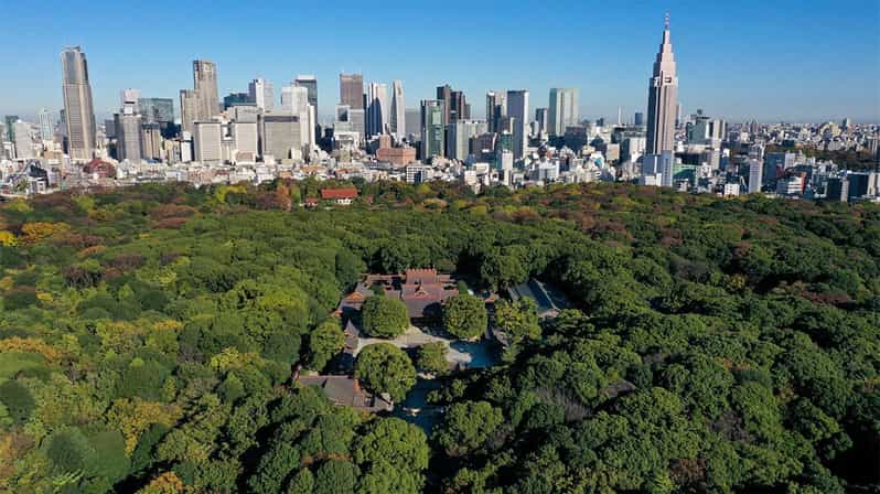 Tokyo: tour a piedi del Santuario Meiji - Shintoismo e sistema imperiale