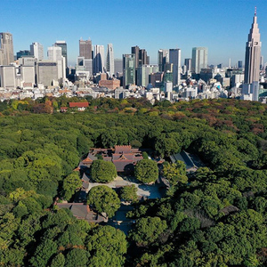 Tokyo: Meiji Shrine Walking Tour — Shinto & Imperial System