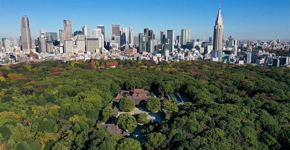 Tokyo : le Meiji Jingu à pied, shintoïsme et système impérial