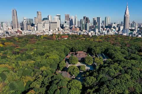 Tokyo: Meiji Shrine Walking Tour — Shinto & Imperial System - Image 3