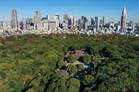 Tokio: Historická prohlídka svatyně Meidži s místním průvodcem