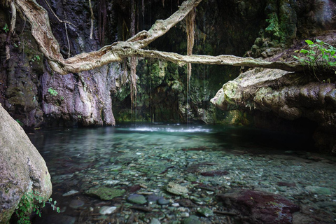 Pafos: Excursión de un día a Akamas, Baños de Afrodita y Laguna AzulExcursión con parada de 1 hora en la Laguna Azul