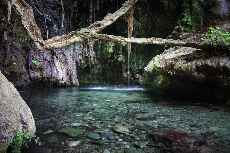 Pafos: Excursión de un día a Akamas, Baños de Afrodita y Laguna AzulExcursión con parada de 1 hora en la Laguna Azul