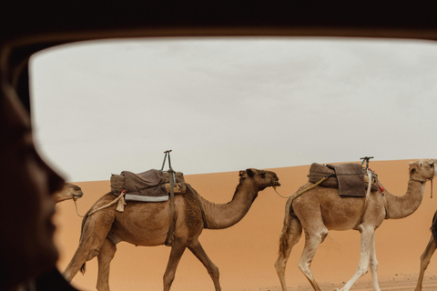 From Marrakech: 3-Day Sahara Tour with Private tent & Meals From Marrakech: Private 3-Day Desert Trip to Merzouga