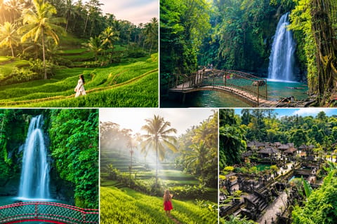 Bali: Private Ubud Highlights Tour with Local Guide