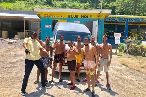 Montego Bay: Hop-On Hop-Off Bus Tour with Cruise