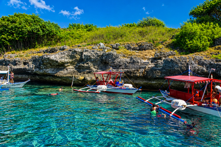 Cebu: Whale Sharks, Sumilon & Pescador Island Tour