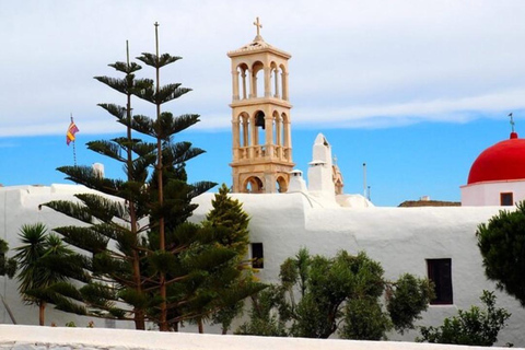 Mykonos : visite en van des 8 lieux d&#039;intérêt incontournables pour les croisiéristes