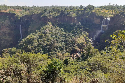 Addis Ababa: 6-Day Bale Mountains Trekking Tour
