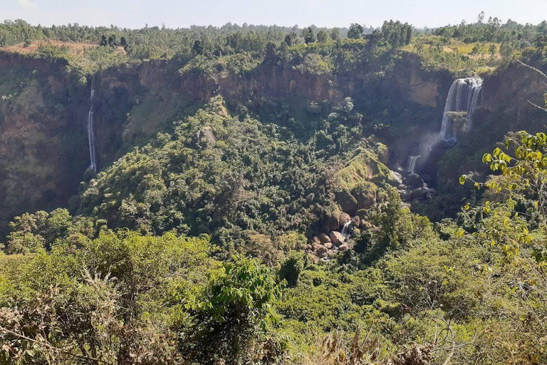 Addis Ababa: 6-Day Bale Mountains Trekking Tour