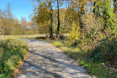 Strasbourg: Segway tour, urban nature