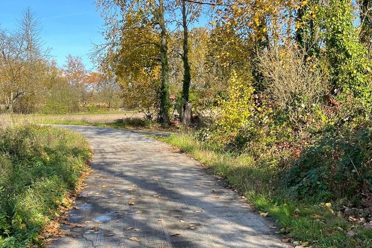 Strasbourg: Segway tour, urban nature
