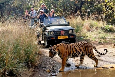 Jungle safari en bezoek aan 08 UNESCO werelderfgoedlocatiesJungle safari en bezoek aan 08 UNESCO erfgoedlocaties