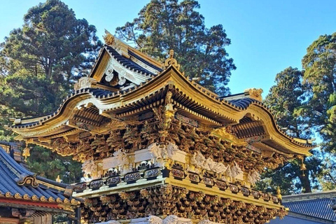 Nikko: Kegon Falls, Chuzenji, Shinkyo Bridge, Toshogu Temple In Luxury Velfire Nikko Private Customized Tour
