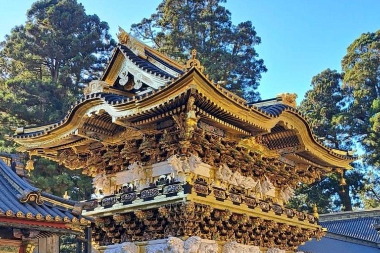 Nikko: Kegon Falls, Chuzenji, Shinkyo Bridge, Toshogu Temple In Luxury Velfire Nikko Private Customized Tour