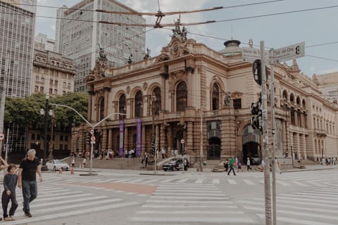 São Paulo: Private Layover Tour with Airport Transfer