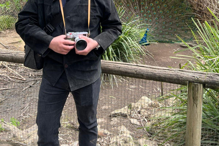 Vanuit Adelaide: Knuffel een Koala en historische Hahndorf Tour