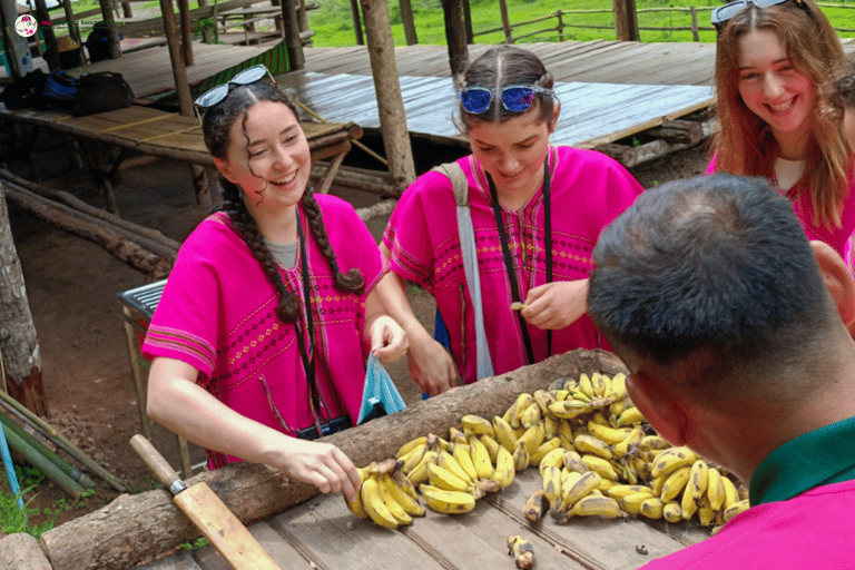 Chiang Mai: Elephant Sanctuary & Watch Sunrise at Temple
