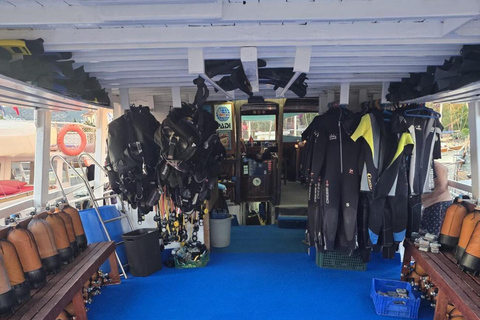 Bodrum: Guided Scuba Diving Experience with Transfer Single Dive Package (with Hotel Transfer)