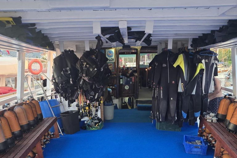 Bodrum: Guided Scuba Diving Experience with Transfer Single Dive Package (with Hotel Transfer)